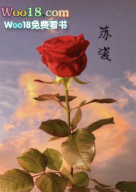 苏瓷和傅南城大结局